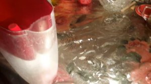 Дождевая вода,как ее пить?