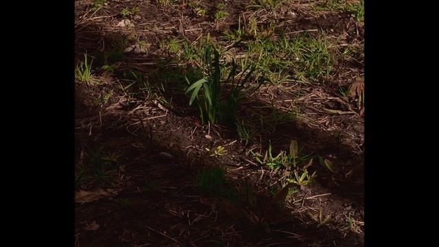 Васильевский остров - Санкт-Петербург смотреть онлайн