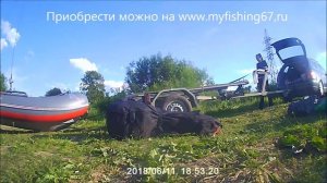 РИБ 375 Elen тест Днепр