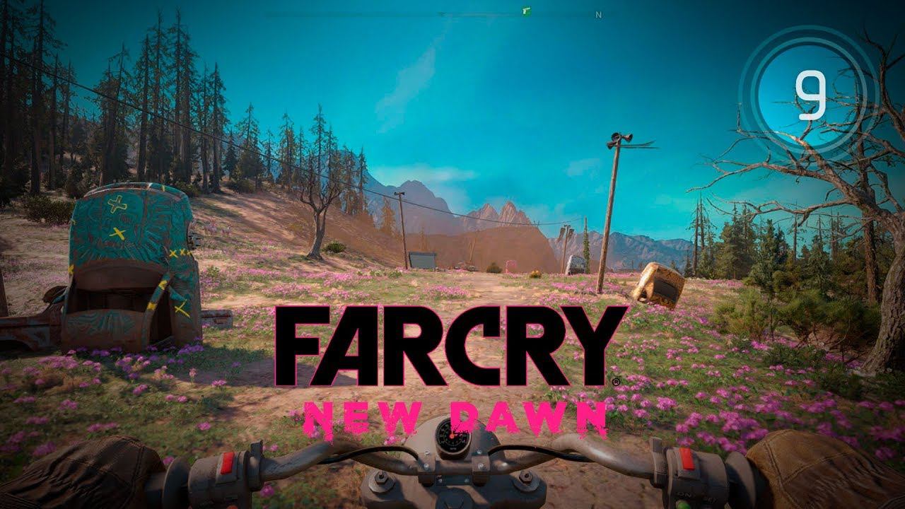 Коллекционка far Cry New Dawn. Фар край Нью даун напарники. Far Cry New Dawn Collectors Edition. Напарник Горацио фар край Нью давн.