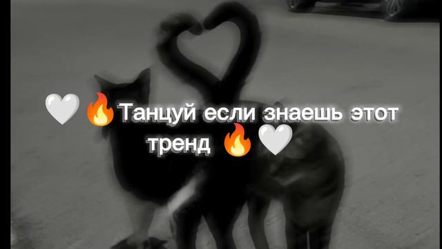 🤍🔥 Танцуй если знаешь этот тренд 🔥🤍2024 года🔥🤍✨ Тренд ✨ смотреть онлайн