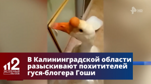 Похитителей гуся-блогера Гоши разыскивают в Калининградской области