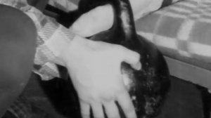 С добрым утром, тётя Хая!