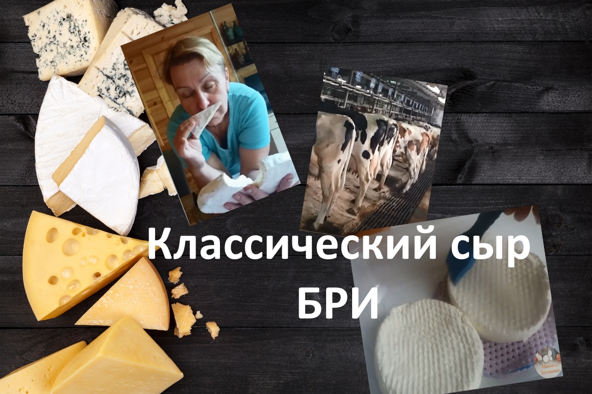 Рецепт классического сыра Бри