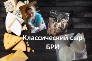 Рецепт классического сыра Бри