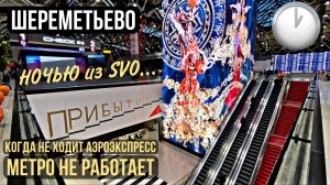 МОСКВА ?? ШЕРЕМЕТЬЕВО ✈️ КАК ДОБРАТЬСЯ НОЧЬЮ В АЭРОПОРТ
