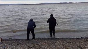 Открытие сезона 2022 ||  Донная снасть резинка