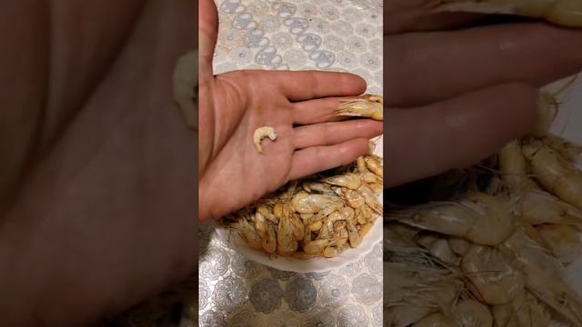 Местная азовская креветка