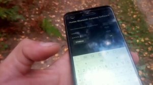 Как работает приложение для отслеживания собак HUNTER Electronics.