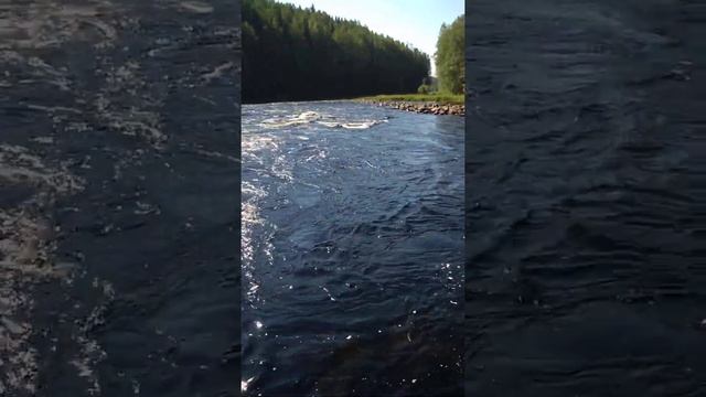 Река Янисъярви рыбалка