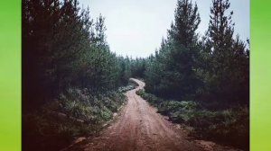 Солнечный зайчик (Efimenko remix)