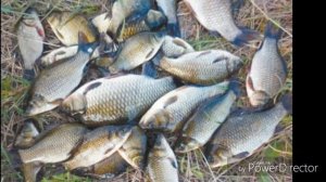 Волчьи ворота рыбалка