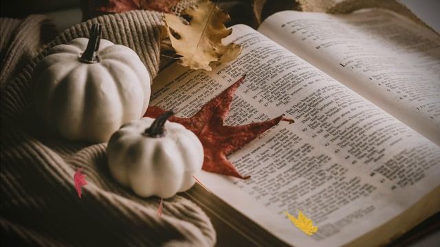 01. ФУТАЖ. Загадочная композиция с Библией (Mysterious composition with the Bible) 4K смотреть онлайн