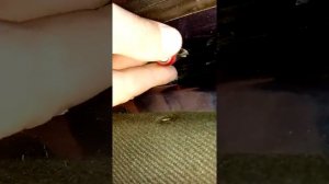 Дверь не открывается ни изнутри ни снаружи, открываем