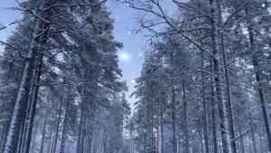 Финляндия | простые радости | Прелести жизни в Финляндии | Жизнь в Финляндии