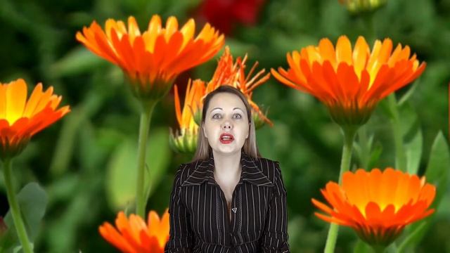 Анекдот про хрен вырастет! смотреть онлайн