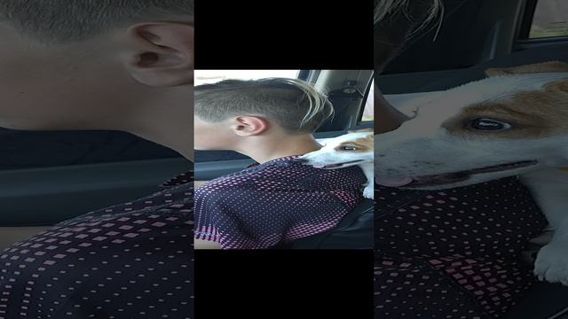 Хорошо Устроился смотреть онлайн