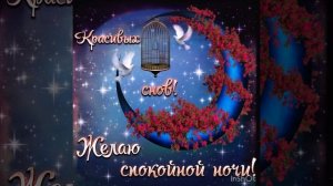 Спокойной ночи ? Приятных и нежных снов ???