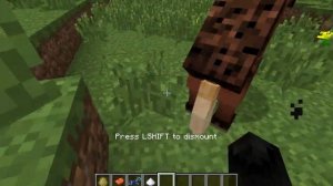 How to put Armour on a Horse in Minecraft