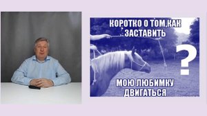 Восстанавливаем функции мозга после инсульта