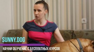 Собаку хочу!  Что делать, если ребенок хочет собаку? Советы родителям!