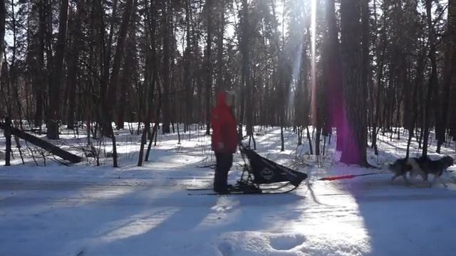 The sweetest test drive of an electric snow scooter смотреть онлайн