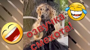 Улётное видео! Сборник приколов с животными с озвучкой