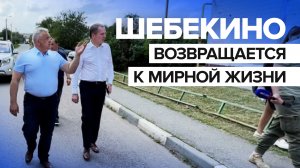 Как в Шебекине налаживают мирную жизнь после атак ВСУ — видео