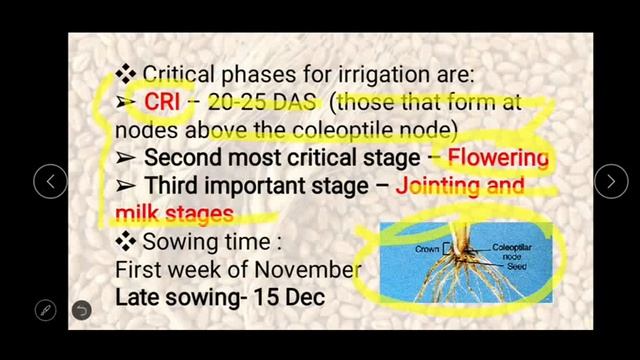 cultivation of wheat crop, notes for IBPS AFO, RRB SO, UPSC, FCI, UPCATET, AGRI MPSC, NABARD , BHU, смотреть онлайн