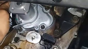 Kia Picanto 1.0 install water pump