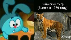 Животные которые вымерли недавно
