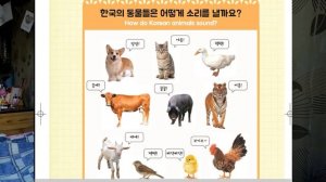 КОРЕЙСКАЯ ИНТЕРПРЕТАЦИЯ ЗВУКОВ ЖИВОТНЫХ. НЕМНОГО КОРЕЙСКОГО ЯЗЫКА