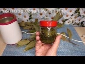 Бабушкин  Рецепт Просто ЛаврушкаСупер Средство  от Варикоза_ от Болей в Суставах_ От ВЫпадения Волос