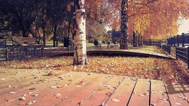 Philip Wesley Darkness Falls и Красота осени смотреть онлайн