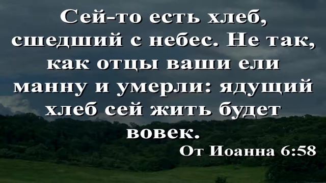 Блажен кто не соблазнится 14 11 21 смотреть онлайн