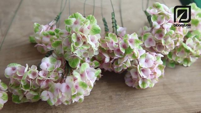 a biedermeier bouquet with a twist смотреть онлайн