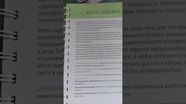 Мята садовая doTERRA https://taplink.cc/elenabuznitskaya