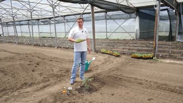 Как использовать питательную добавку для растений Цион Совет дня