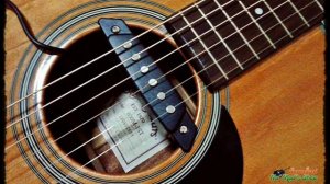 Belcat Sound Hole Pick Up (SH-85)