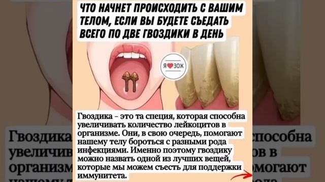 гвоздика смотреть онлайн