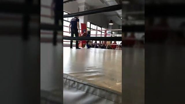 Турнир по тайскому боксу "Храбрый львёнок" в СК "LION" смотреть онлайн