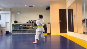 【青帯】平安2・ピンアン・pinan・空手・型[Blue belt] Heian 2, karate, kata [Синий пояс] Хэйан 2, пинан, каратэ, ката