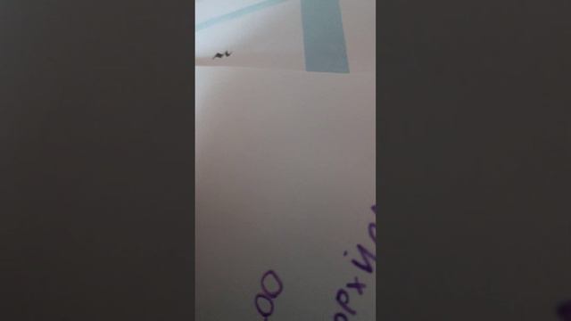 откуда появился язык. кмялянски́. урок. 4• смотреть онлайн