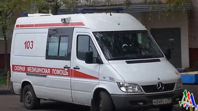 - И ЗАЧЕМ только ЗАВОДЯТ таких СОБАК? Толку никакого, один шум. – бубнила соседка у двери смотреть онлайн