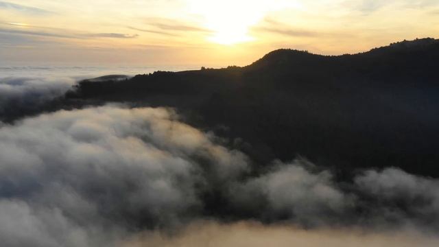 California by Drone - Mill Valley Mist смотреть онлайн
