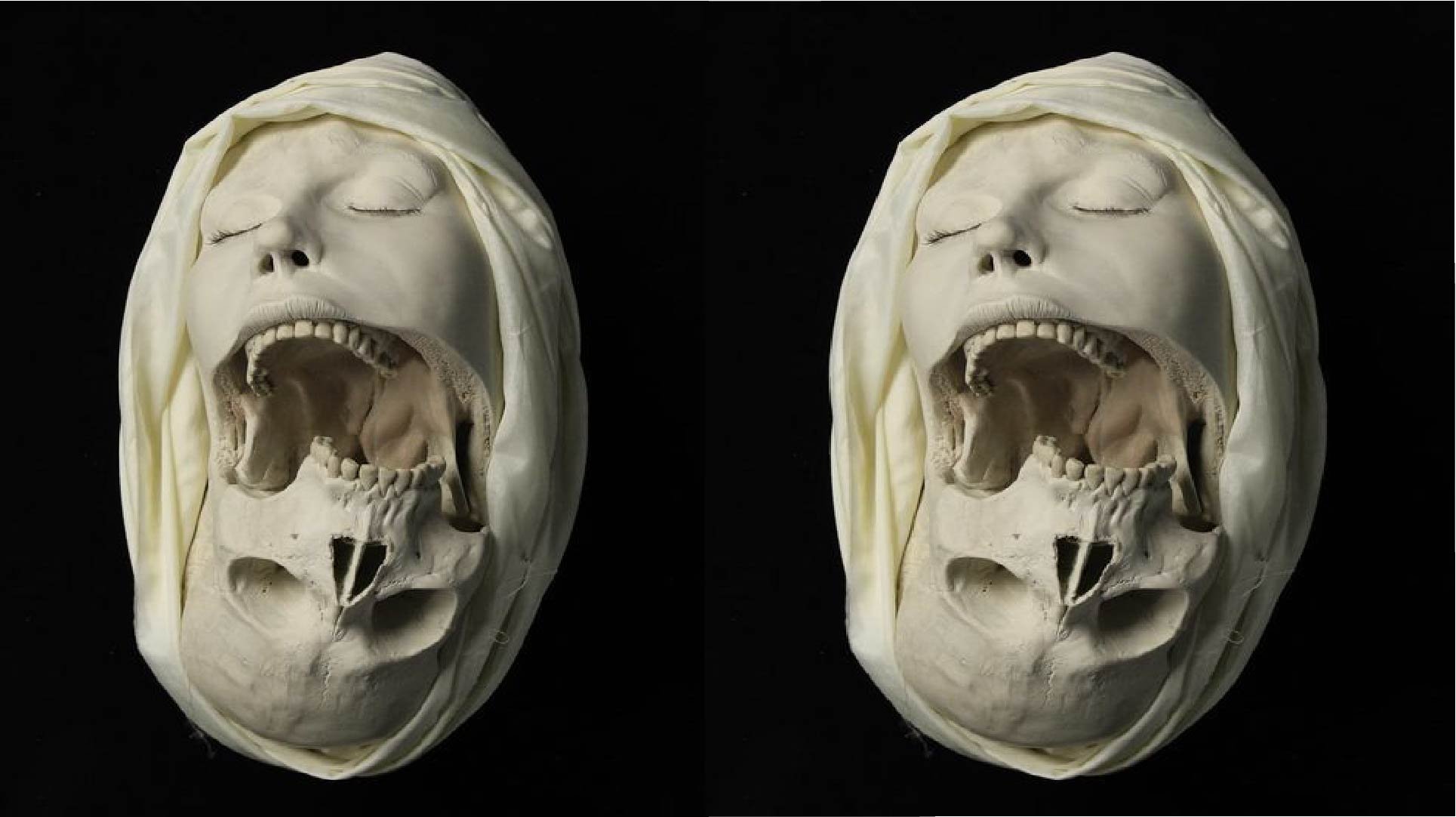 Techno_  Industrial Bass Mix ANIMALE