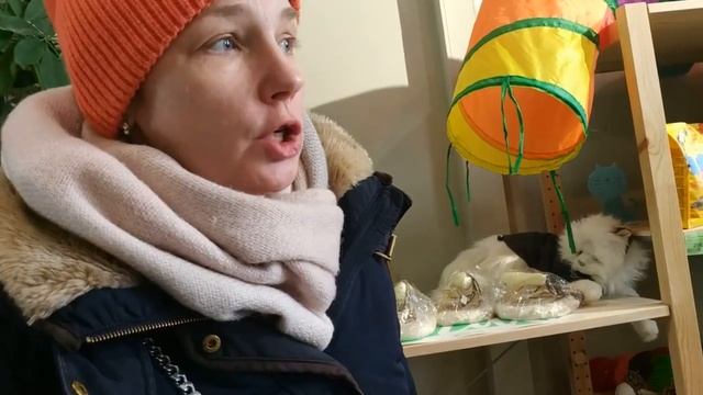 СПАСЕНИЕ МАЛЕНЬКИХ СОБАЧЕК. ПРИЮТ "МИНИ ИЩУТ ДОМ"