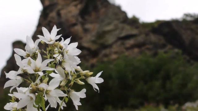 Аманауз. Суфруджинские водопады. Чертова мельница.