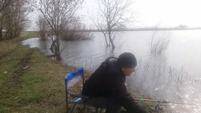 Плотва на фидер ранней весной смотреть онлайн