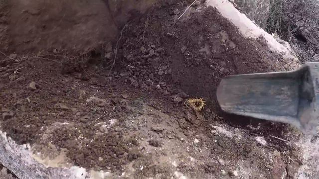 Tılsımlı Hazine Bulma Anı /treasure Hunting смотреть онлайн